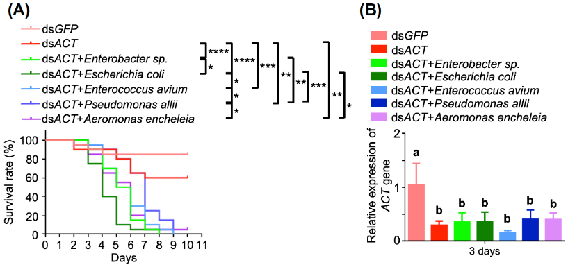 A diagram of different types of dnaDescription automatically generated