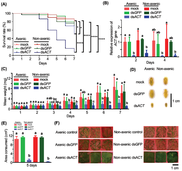A close-up of several graphsDescription automatically generated