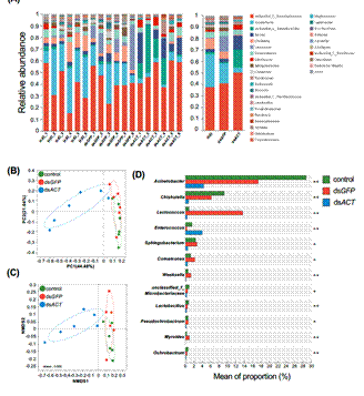 A screenshot of a graphDescription automatically generated